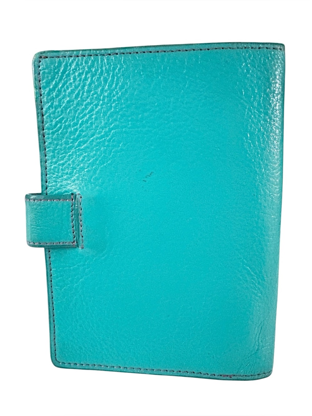 DANIER Turquoise Leather Passport Holder with Pink Accent - Travel Wallet - Picture 2 of 11